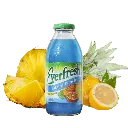 EF Island Punch 12/16fl.oz.